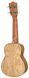 Укулеле Harley Benton UK-12 Stain Ash NT Bundle (комплект) 599890 фото 3
