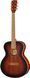 Harley Benton CG-45E Vintage Sunburst 490947 фото 1