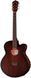Harley Benton Delta Blues MJCE 451678 фото 1