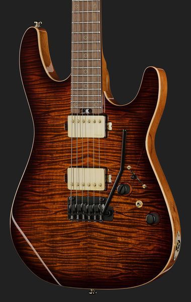 Електрогітара Harley Benton Fusion-IV HH RW FBB 618119 фото