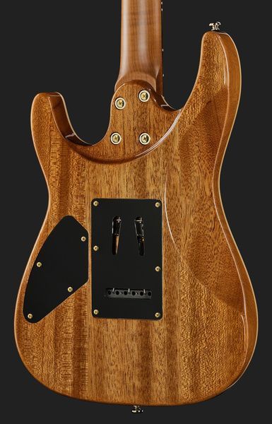 Harley Benton Fusion-IV HH RW FBB 618119 фото