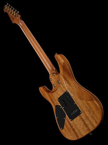 Електрогітара Harley Benton Fusion-IV HH RW FBB 618119 фото