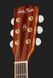 Harley Benton CG-45E Vintage Sunburst 490947 фото 6