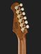 Harley Benton Fusion-IV HH RW FBB 618119 фото 7