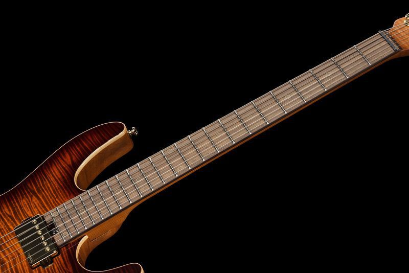 Harley Benton Fusion-IV HH RW FBB 618119 фото