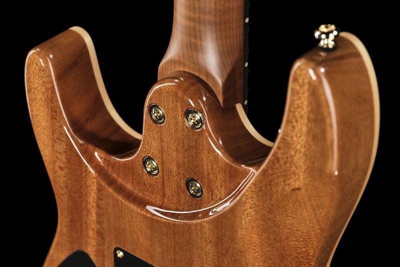 Harley Benton Fusion-IV HH RW FBB 618119 фото