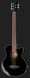 Harley Benton B-35BK Acoustic Bass Series 299114 фото 2