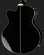 Акустична бас-гітара Harley Benton B-35BK Acoustic Bass Series 299114 фото 5