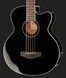 Акустична бас-гітара Harley Benton B-35BK Acoustic Bass Series 299114 фото 4