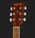 Акустична гітара Harley Benton D-120VS w/Bag (комплект) 414629 фото 6