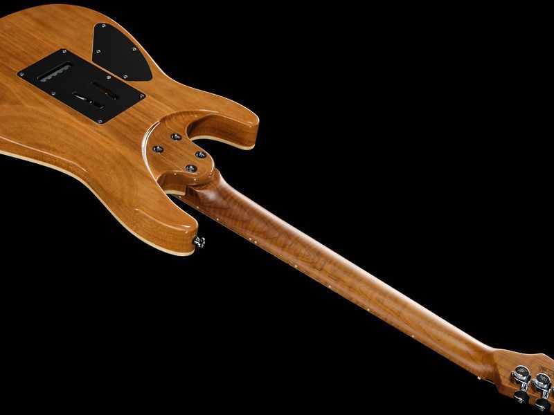 Harley Benton Fusion-IV HH MN QBKB 618089 фото