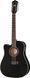 Harley Benton Custom Line CLD-10SCE-12BKS LH 573566 фото 1
