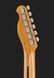 Harley Benton TE-62DB BK Bundle 545182 фото 7