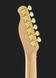 Harley Benton TE-40 TBK Bundle 1 288367 фото 7