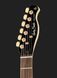 Harley Benton TE-40 TBK Bundle 1 288367 фото 6