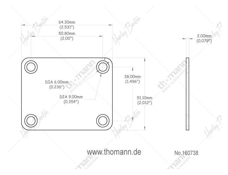 Harley Benton Parts HN001GD 160738 фото