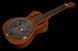 Акустическая гитара Harley Benton Delta Blues Resonator w/Bag (комплект) 574513 фото 8