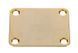 Harley Benton Parts HN001GD 160738 фото 1