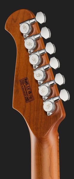Harley Benton Fusion-IV HSS MN SGR 617998 фото