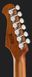 Harley Benton Fusion-IV HSS MN SGR 617998 фото 7