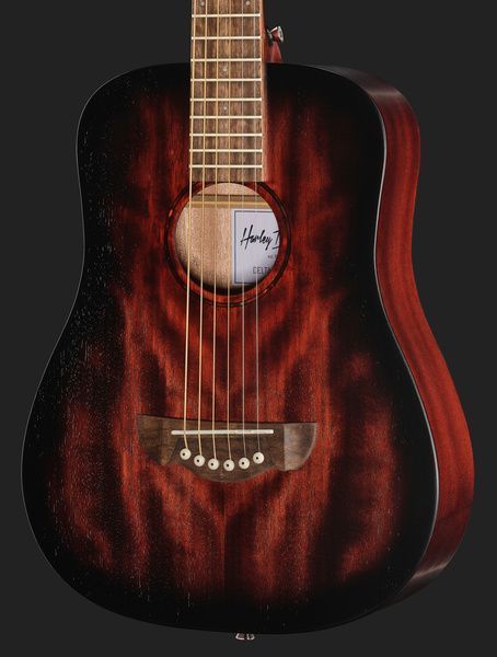 Акустическая гитара Harley Benton Delta Blues T 451682 фото