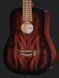 Акустическая гитара Harley Benton Delta Blues T 451682 фото 4
