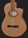Thomann Gypsy Nylon CE Bundle 547772 фото 4