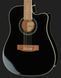 Harley Benton D-200CE-12BK Bundle 538119 фото 4