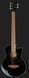 Акустична бас-гітара Harley Benton B-35BK-FL Acoustic Bass Series 476023 фото 2