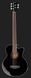 Harley Benton B-35BK-FL Acoustic Bass Series 476023 фото 2