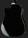 Harley Benton D-200CE-12BK w/Bag 538115 фото 5