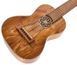 Классическая акустическая гитара Thomann Artist Guitarlele ACA 418296 фото 4