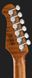 Harley Benton Fusion-IV HSS RW FNT 618022 фото 7