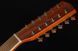Harley Benton D-200CE-12NT 165306 фото 12