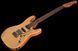 Harley Benton Fusion-IV HSS RW FNT 618022 фото 8