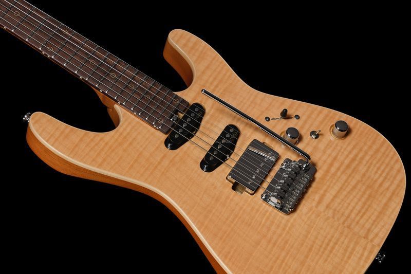 Harley Benton Fusion-IV HSS RW FNT 618022 фото