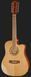 Harley Benton D-200CE-12NT w/Bag 539226 фото 2