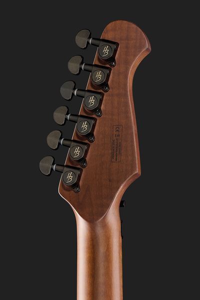 Harley Benton Guitar MAX Fusion Signature HO 593722 фото