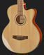 Акустична бас-гітара Harley Benton B-35NT Acoustic Bass Bundle (комплект) 537190 фото 4