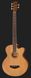 Harley Benton B-35NT Acoustic Bass Series 180201 фото 2