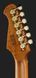Harley Benton Fusion-IV HH MN SGD 618083 фото 7