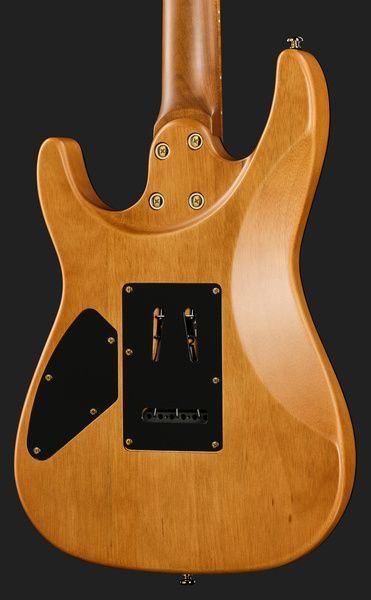 Harley Benton Fusion-IV HH MN SGD 618083 фото
