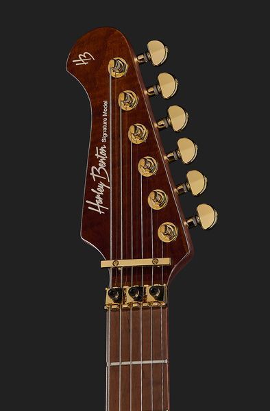 Harley Benton Guitar MAX Fusion Signature PF 593716 фото