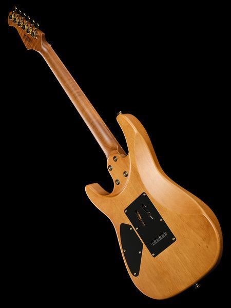 Harley Benton Fusion-IV HH MN SGD 618083 фото