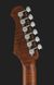 Harley Benton Fusion-III HSH Roasted FBB 521163 фото 7