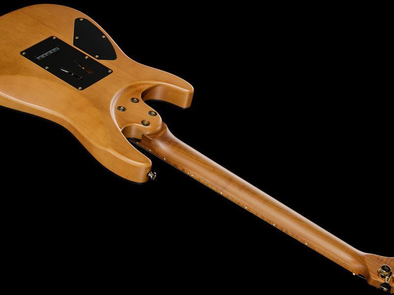 Harley Benton Fusion-IV HH MN SGD 618083 фото