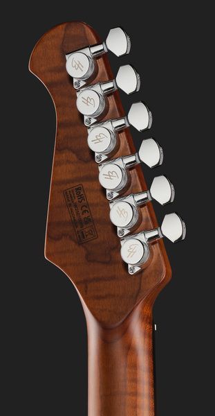 Harley Benton Fusion-IV HH RW QDG 618120 фото