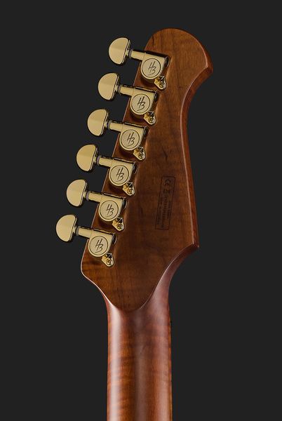 Harley Benton Guitar MAX Fusion Signature WN 593728 фото