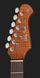 Електрогітара Harley Benton Fusion-IV HH RW QDG 618120 фото 6
