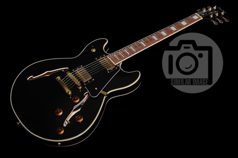 Електрогітара Harley Benton HB-35Plus Black 482274 фото
